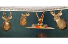 Property photo 17 - Personal Property Auction for the Avid Hunter/Outdoorsman also Including Collectibles, Households and More